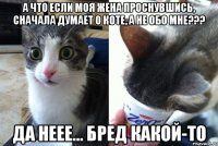 А что если моя жена проснувшись, сначала думает о коте, а не обо мне??? Да неее... Бред какой-то