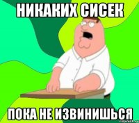 Никаких сисек пока не извинишься