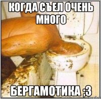 Когда съел очень много Бергамотика ;з
