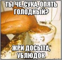 Ты че, сука, опять голодный? Жри досыта, ублюдок