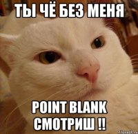 Ты чё без меня Point Blank смотриш !!