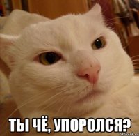  ТЫ ЧЁ, УПОРОЛСЯ?