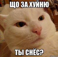 Що за хуйню ты снёс?