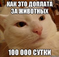 КАК ЭТО ДОПЛАТА ЗА ЖИВОТНЫХ 100 000 СУТКИ