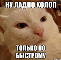 ну ладно холоп только по быстрому