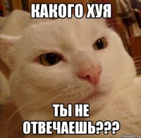 Какого хуя Ты не отвечаешь???