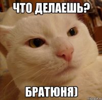 Что делаешь? Братюня)