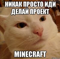 Никак просто иди делай проект minecraft