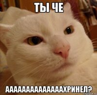 Ты че ААААААААААААААХринел?