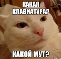 Какая клавиатура? Какой мут?