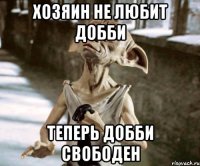 хозяин не любит Добби теперь добби свободен