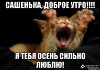 Сашенька, Доброе Утро!!!! Я тебя осень сильно люблю!