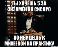 Ты хочешь 5 за экзамен по сиспро Но не идёшь к Михеевой на практику