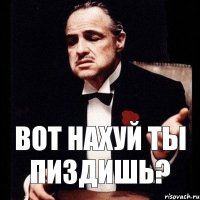 Вот нахуй ты пиздишь?