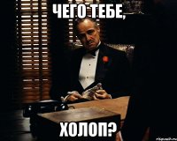 Чего тебе, ХОЛОП?