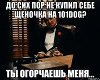 До сих пор не купил себе щеночка на 101dog? Ты огорчаешь меня...