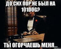 До сих пор не был на 101dog? Ты огорчаешь меня...