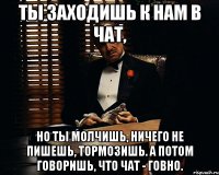 ты заходишь к нам в чат, но ты молчишь, ничего не пишешь, тормозишь. а потом говоришь, что чат - говно.