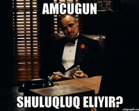 Amcugun SHULUqluq eliyir?