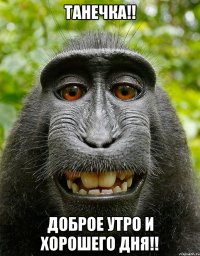 Танечка!! Доброе утро и хорошего дня!!