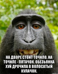  На дворе стоит точило, На точиле - пятачок. Обезьянка хуй дрочила В волосатый кулачок.