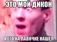 Это мой дикон я его на лавочке нашёл