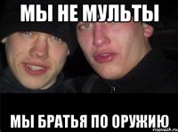 мы не мульты мы братья по оружию