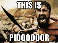 this is pidooooor