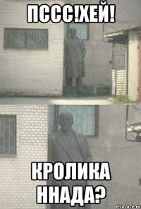 ПССС!ХЕЙ! КРОЛИКА ННАДА?