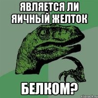 Является ли яичный желток БЕЛКОМ?