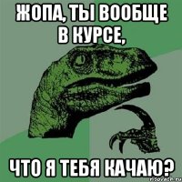 Жопа, ты вообще в курсе, что я тебя качаю?