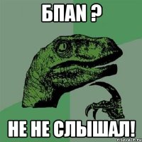 БПАN ? Не не слышал!