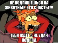 Не подпишешься на животные-это счастье!!! Тебя ждёт 5 не удач подряд