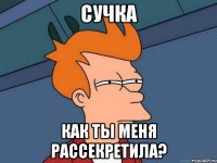 сучка как ты меня рассекретила?