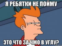 я ребятки не пойму это что за чмо в углу?