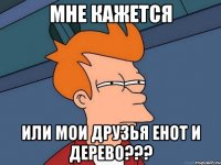 МНЕ КАЖЕТСЯ или мои друзья Енот и Дерево???