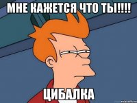 МНЕ КАЖЕТСЯ ЧТО ТЫ!!!! ЦИБАЛКА