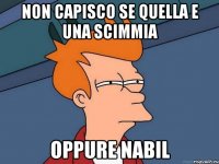 Non capisco se quella e una scimmia Oppure nabil