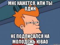 МНЕ КАЖЕТСЯ, ИЛИ ТЫ ОДИН НЕ ПОДПИСАЛСЯ НА МОЛОДЁЖЬ ЮВАО