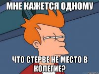 мне кажется одному что стерве не место в колегие?