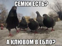 СЕМКИ ЕСТЬ? А КЛЮВОМ В ЕБЛО?