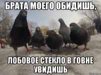 БРАТА МОЕГО ОБИДИШЬ, ЛОБОВОЕ СТЕКЛО В ГОВНЕ УВИДИШЬ