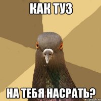 КАК ТУЗ НА ТЕБЯ НАСРАТЬ?