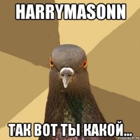 HARRYMASONN Так вот ты какой...