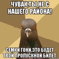 Чувак,ты не с нашего района! Семки гони,это будет твой пропускной билет