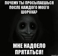 Почему ты просыпаешься после каждого моего шороха? Мне надоело прятаться!