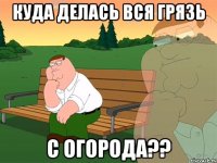 куда делась вся грязь с огорода??