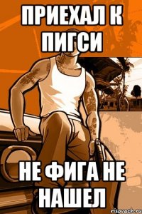 Приехал к пигси Не фига не нашел