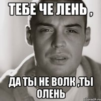 тебе че лень , да ты не волк ,ты олень