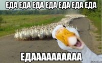 еда еда еда еда еда еда еда Едаааааааааа